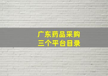 广东药品采购 三个平台目录